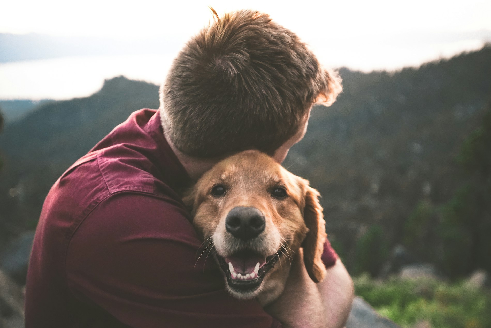 Un homme serre tendrement son chien dans ses bras